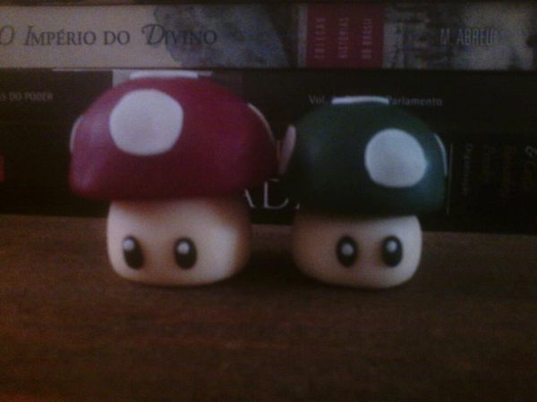 Cogumelos vida e crescimento